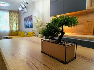 Three-room apartment in the center of Varna - 6