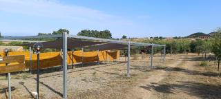 Sa Teria Village - Camere Deluxe - - 7