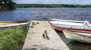 Norbergs Camping - 7