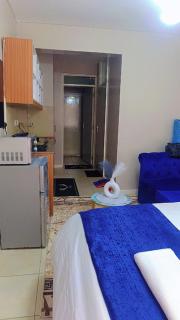 Furnished studio kiambu road thindigua tsavo coral bell - 7