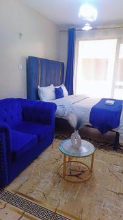 Furnished studio kiambu road thindigua tsavo coral bell - 6