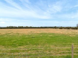 Myfanwy - 6