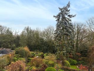 Treetops - 3