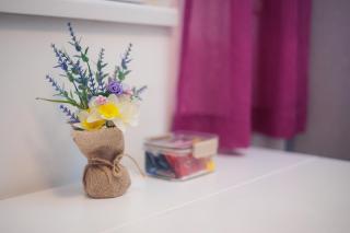 Apartman City view Zemun - 7
