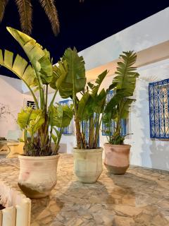Diar Douja - Beach front Resort Tazerka - 6