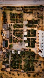 Ayur Lodge Siwa Oasis - 0