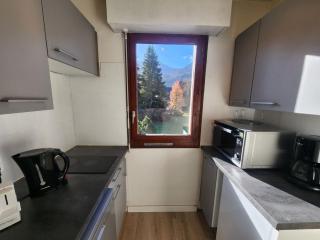 Appartement lumineux, vue montagne - 4 pers. - FR-1-629-50 - 2