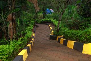 Lushoto Kaya Wald Stay - 1