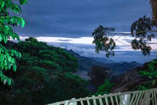 Lushoto Kaya Wald Stay - 4