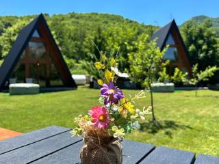 Albero Casa - 6