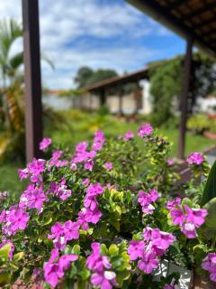 Casa Mangue - 7