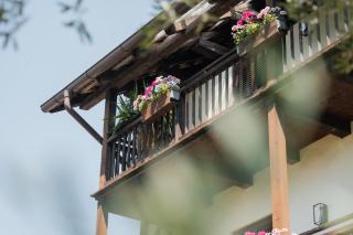 B&B Unterhabsbergerhof - 3