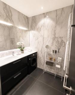 LUXUEUX APPARTEMENT AU COEUR DE GENEVE ,a deux pas du LAC - 5