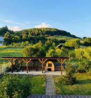 Vila Ţara Haţegului - 8