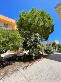 Casa di Manu - 8