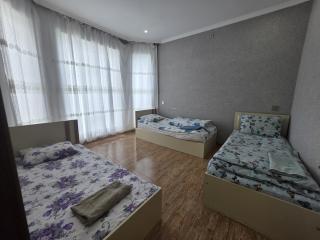 Azure Pool Villa Gabala - 3