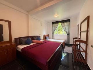Villa Garand Mellow Lake View Nuwaraeliya - 9