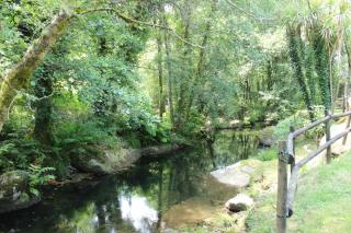 Casa Moinho da Levada - Refúgio à beira do rio Coura - 9