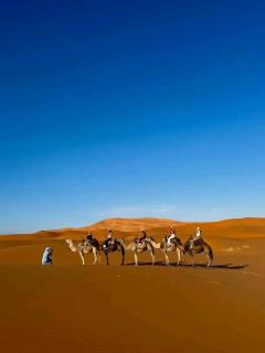 Bivouac Camel Trips - 7