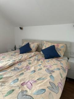 Apartmani Stevanović - 2