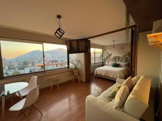Best location and views of Providencia - 6
