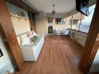 Best location and views of Providencia - 4