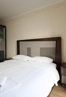 Bakuriani Orbi Palace apartment N504 - 2