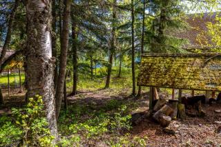 Walsh Cottage on the shores of Lake McDonald - 2