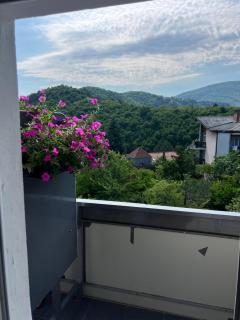 Vila Milka - Lepterija - 2