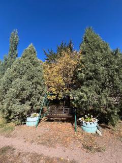 Bermet guest house - 8