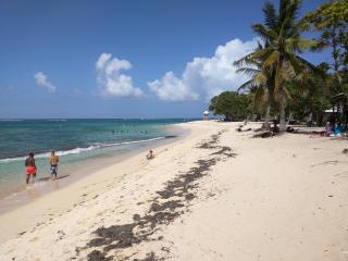 Le Cocon Bleu - 1