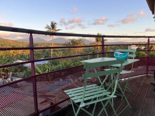 T2 climatisé 52 m2 avec terrasse et belle vue du mont Combani - 9