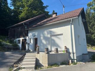 Ferienhaus Plöckenstein - 8