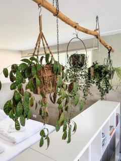 Studio Margriet - 1