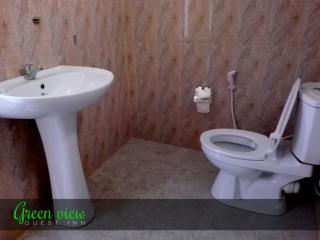 Green View Guest Inn - 5