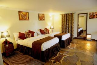 Davinci Gorilla Lodge - Kinigi - 7