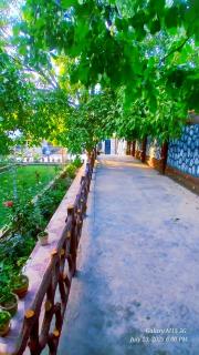 Shah Garden and Villa - 3