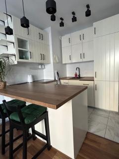 Swan Apartment- zielony taras i prywatny parking w cenie - 6