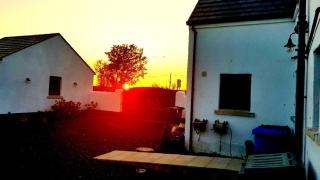 Plum Tree Cottage - 7