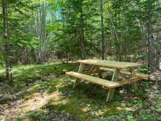 Forest Camps - 2