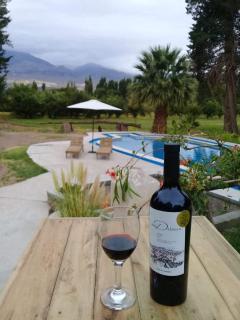 Don Dalmiro Wines - 0
