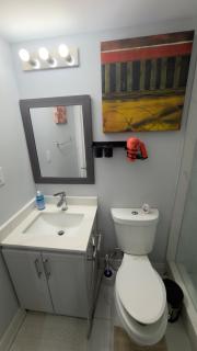 Beautiful lake view Basment room - 8