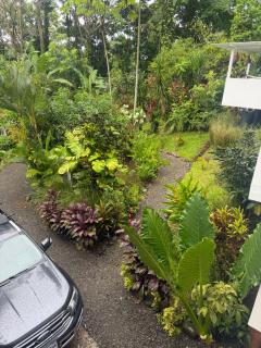 Private tropical large home with pool between Cahuita and Puerto Viejo Excellent Location - 5