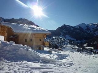 Chalet L'étagne - Châtel - 0