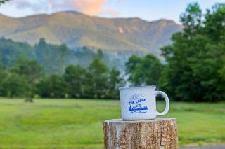 Lodge at Mount Mitchell - 1