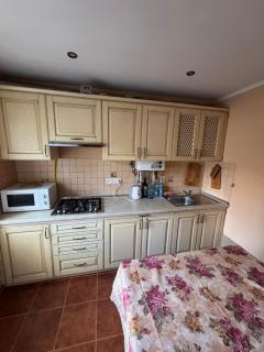 Унікаляні апартаменти на території станаторію Квітка Полонини - 1