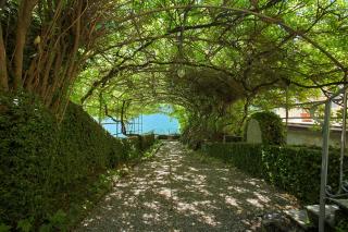 Villa Fiorita - 9