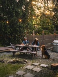 Rainier Forest Cabin, Hot Tub, Sauna, Fire Pit - 6