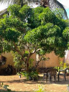 Serenza Retreat Villa - 2