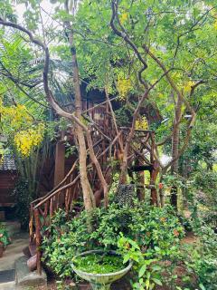 Sigiri Lodge and Tree House - 0